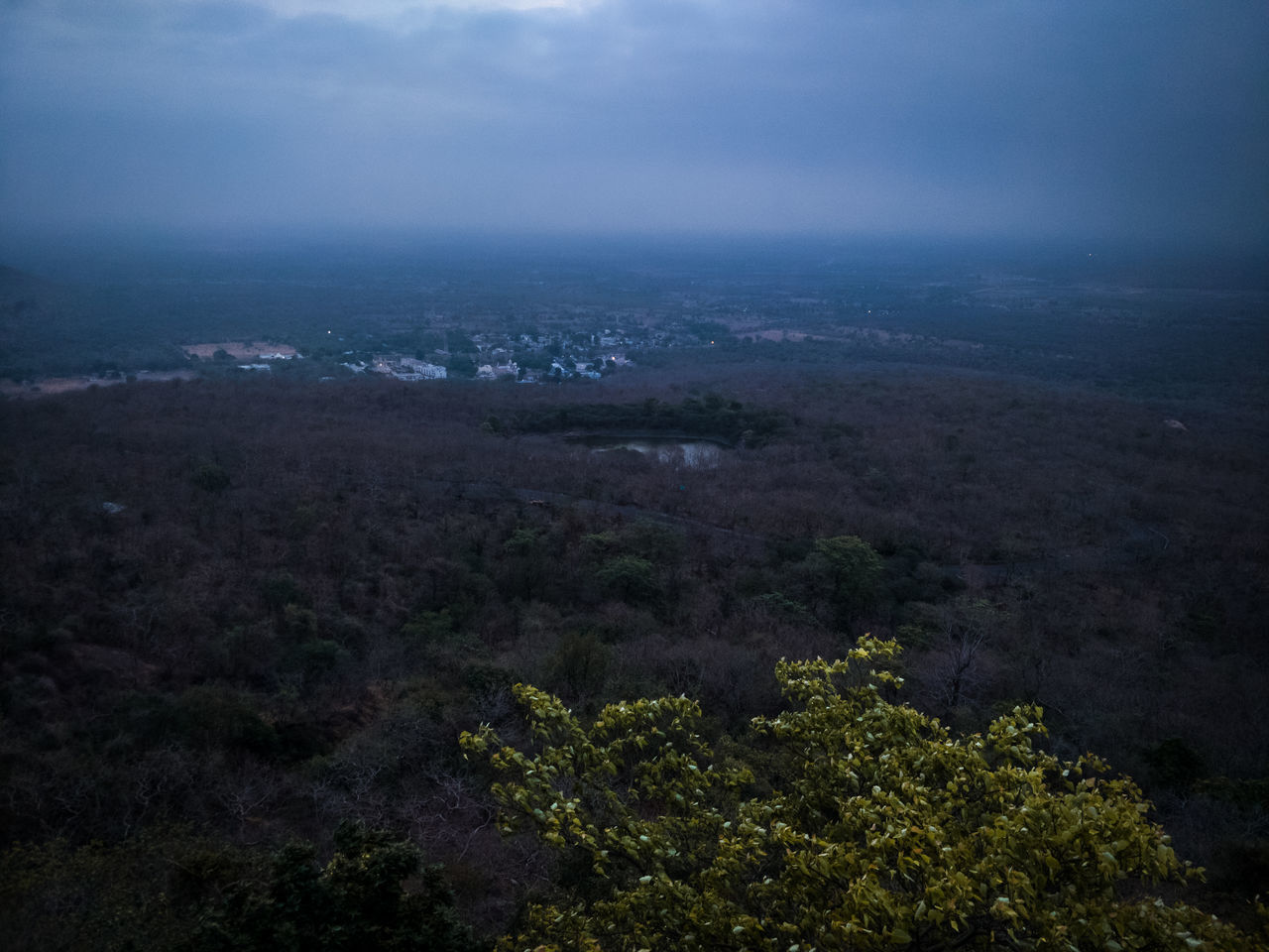 HIGH ANGLE VIEW OF TREES AND CITYSCAPE AGAINST SKY