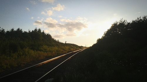 Railroad track passing through landscape