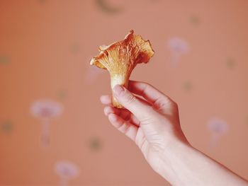 Cropped hand holding mushroom