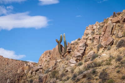 Low angle view of mountain against sky