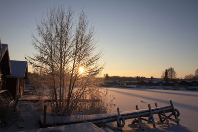 Bare tree by houses on snow covered field against clear sky