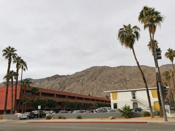 Road by palm trees and houses against sky