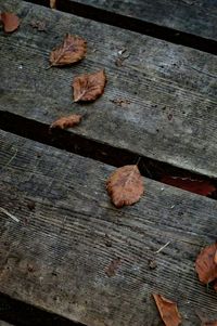Close-up of wooden plank