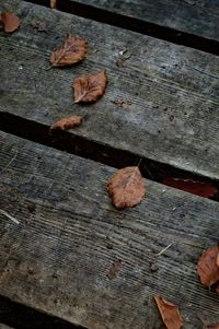 Close-up of wooden plank