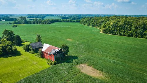 Scenic view of agricultural field