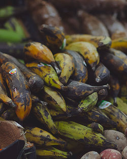 Close-up of fish for sale at market