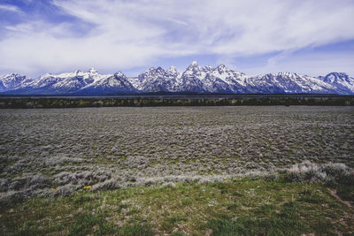 Scenic view of field against sky during winter
