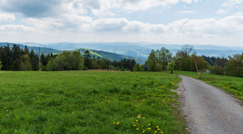 Scenic view of road amidst trees on field against sky