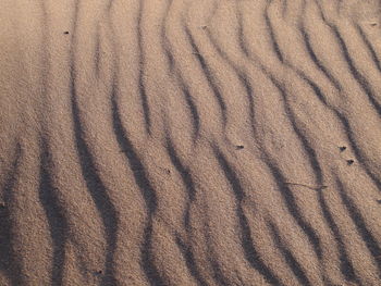 Full frame shot of sand