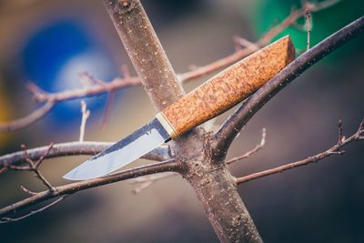 Close-up of rusty metal
