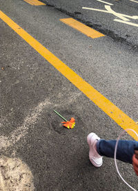 High angle view of person crossing sign on street