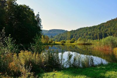 Scenic view of lake in forest against sky