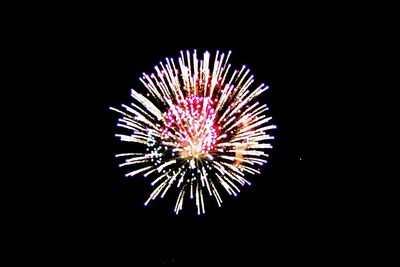 Low angle view of firework display at night