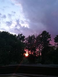 Low angle view of trees against sky