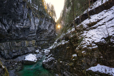 Trees growing on rock during winter