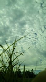 Low angle view of cloudy sky