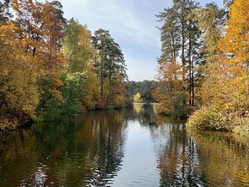 Trees by lake against sky during autumn