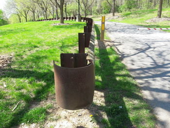 Plants and trees in park