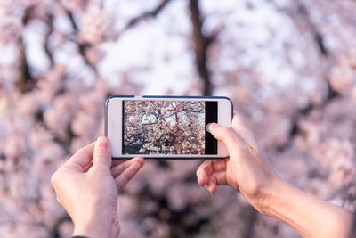 Midsection of person photographing with mobile phone