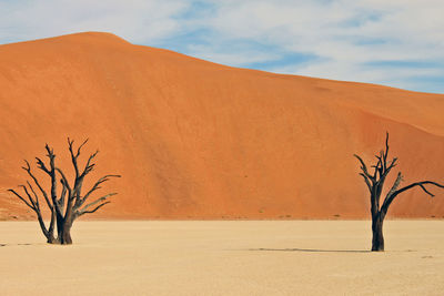 Scenic view of desert against sky