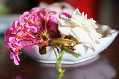 Close-up of white rose on table