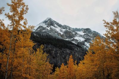 Scenic view of snowcapped mountains during autumn against sky