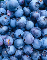 Full frame shot of blueberries