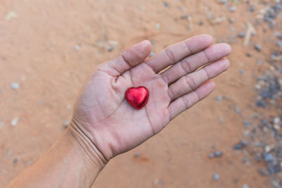 Cropped hand holding red flower