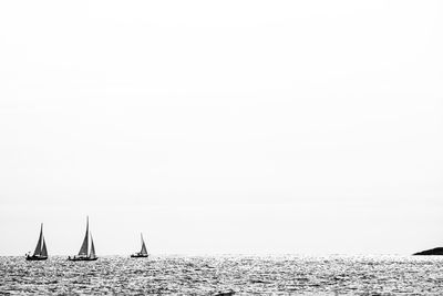 Sailboats sailing on sea against clear sky