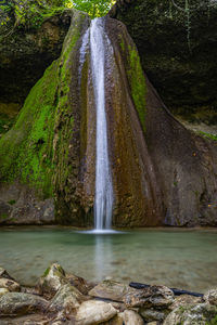 Scenic view of waterfall in forest