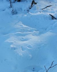 Close-up of snow