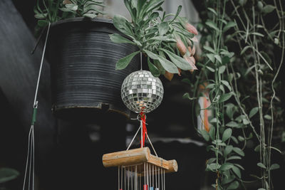 Close-up of potted plant hanging on metal