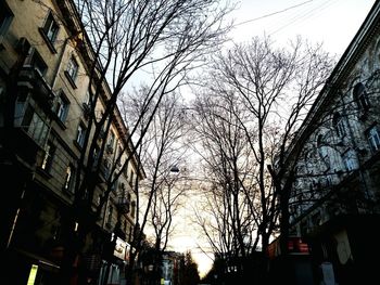 Low angle view of bare trees against sky