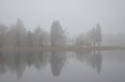 Reflection of trees in lake against sky