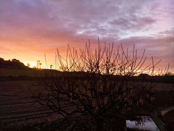 Silhouette bare trees on field against sky during sunset