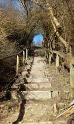 View of narrow walkway