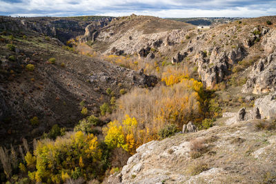 Scenic view of landscape