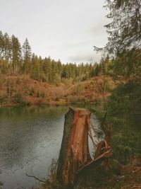 Scenic view of lake by trees against sky