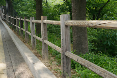 Wooden fence with trees in background