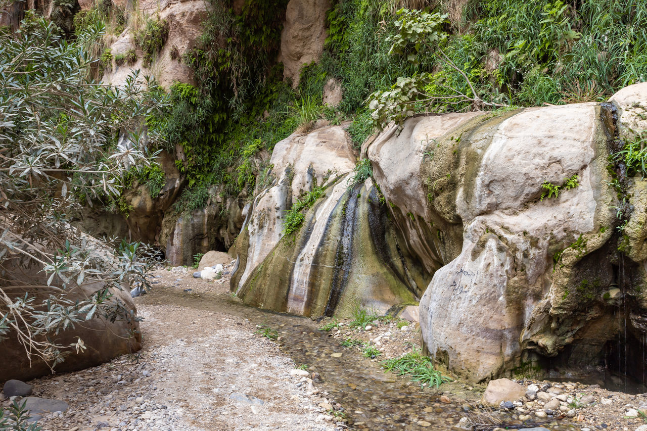 rock, plant, nature, tree, land, beauty in nature, no people, stream, scenics - nature, environment, trail, wadi, day, tranquility, boulder, wilderness, non-urban scene, forest, water feature, outdoors, landscape, rock formation, geology, growth, water, travel, travel destinations, tranquil scene, valley, waterfall