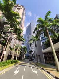 Road amidst trees and modern buildings against sky