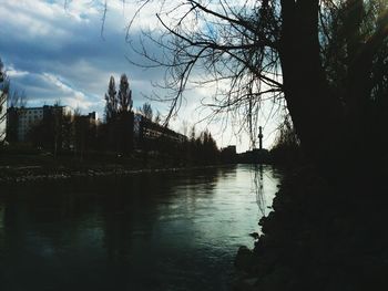 Reflection of bare trees in river