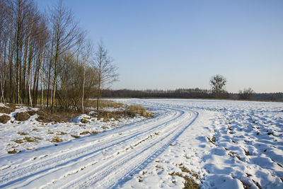 A dirt road covered with snow and trees