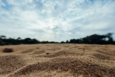 Surface level of land against sky