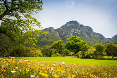 Scenic view of mountains against sky