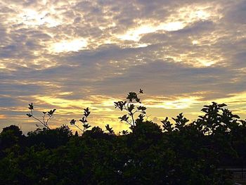 Scenic view of landscape against cloudy sky at sunset