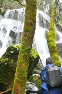 View of waterfall in forest