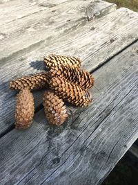 High angle view of dried pine cone on table