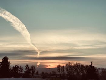 Silhouette trees on landscape against sky