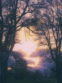 Low angle view of silhouette trees against sky during sunset